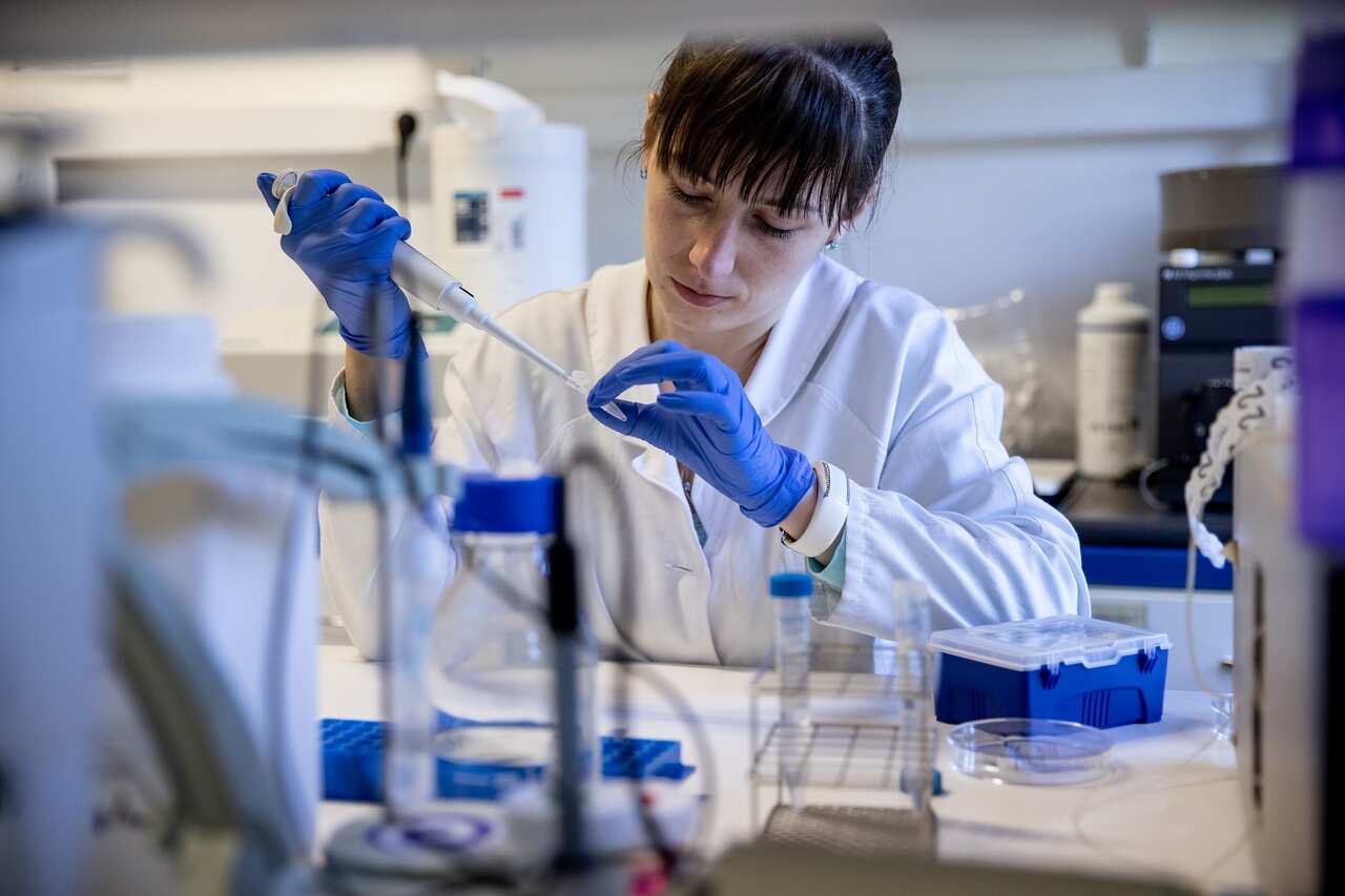 Die Omikron Variante wird untersucht   