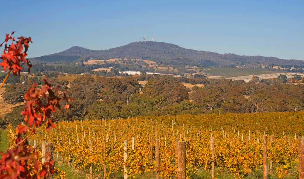 Mount Canobolas in Orange