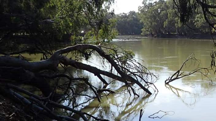 Flowing Murray River