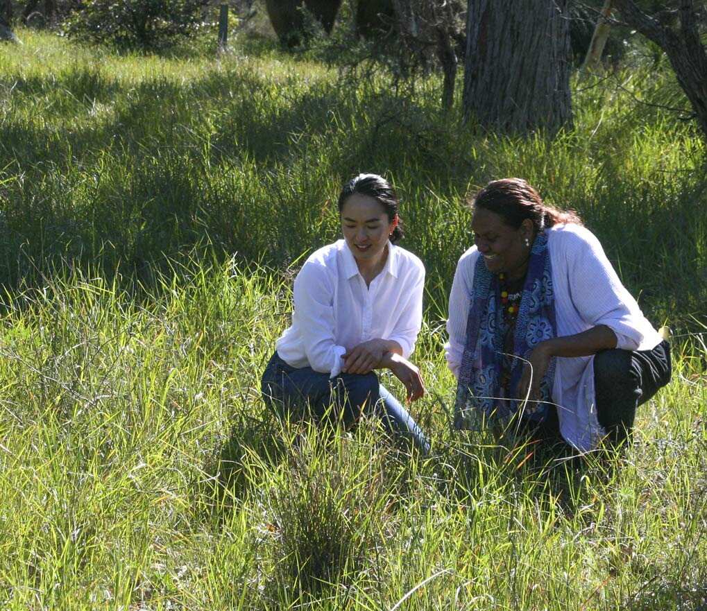 Japanese Chocolatier Perth Yuki Nakamura Bushfood