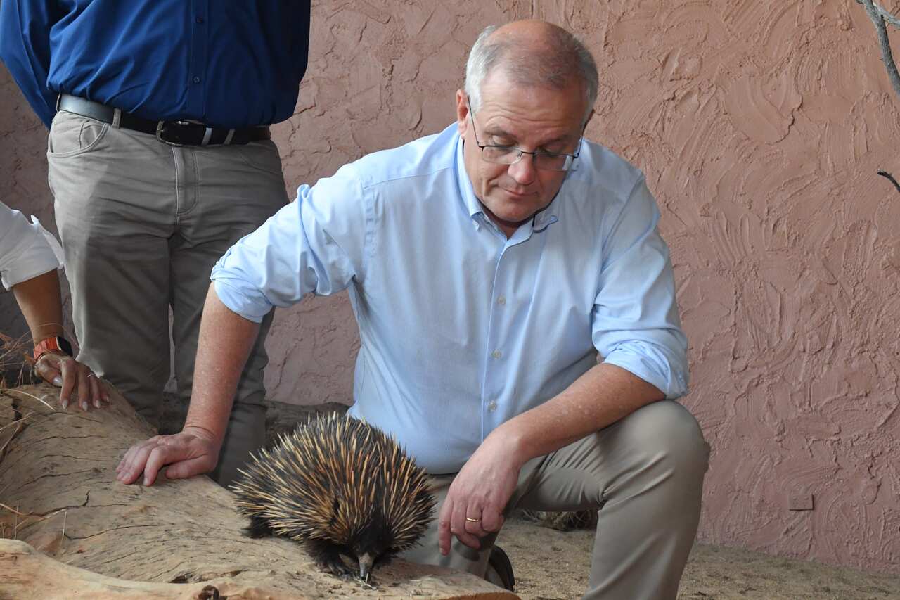 Prime Minister Scott Morrison poses with an echidna at the Alice Springs Desert Park on Day 14 of the 2022 federal election campaign, in Alice Springs, in the seat of Lingiari. Sunday, April 24, 2022. (AAP Image/Mick Tsikas) NO ARCHIVING