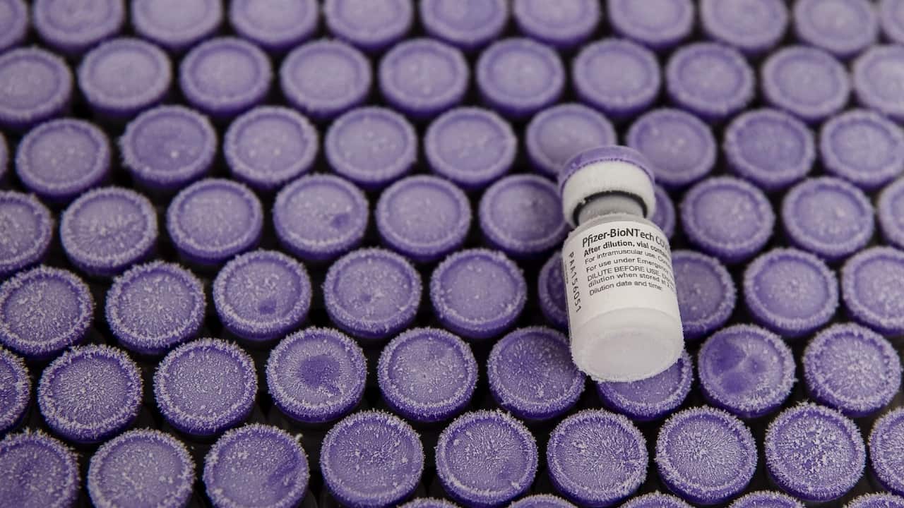 vaccine, Pfizer, COVID-19, Philippines, Christmas