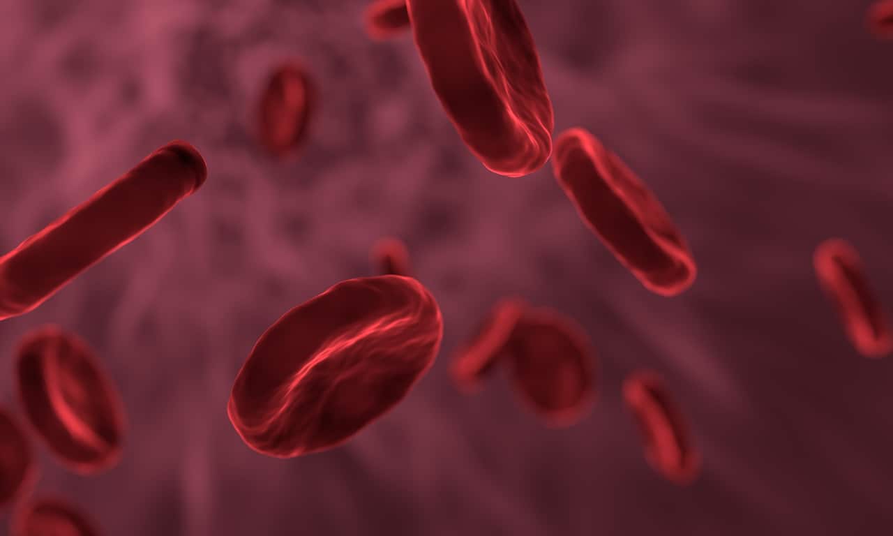 Blood cells