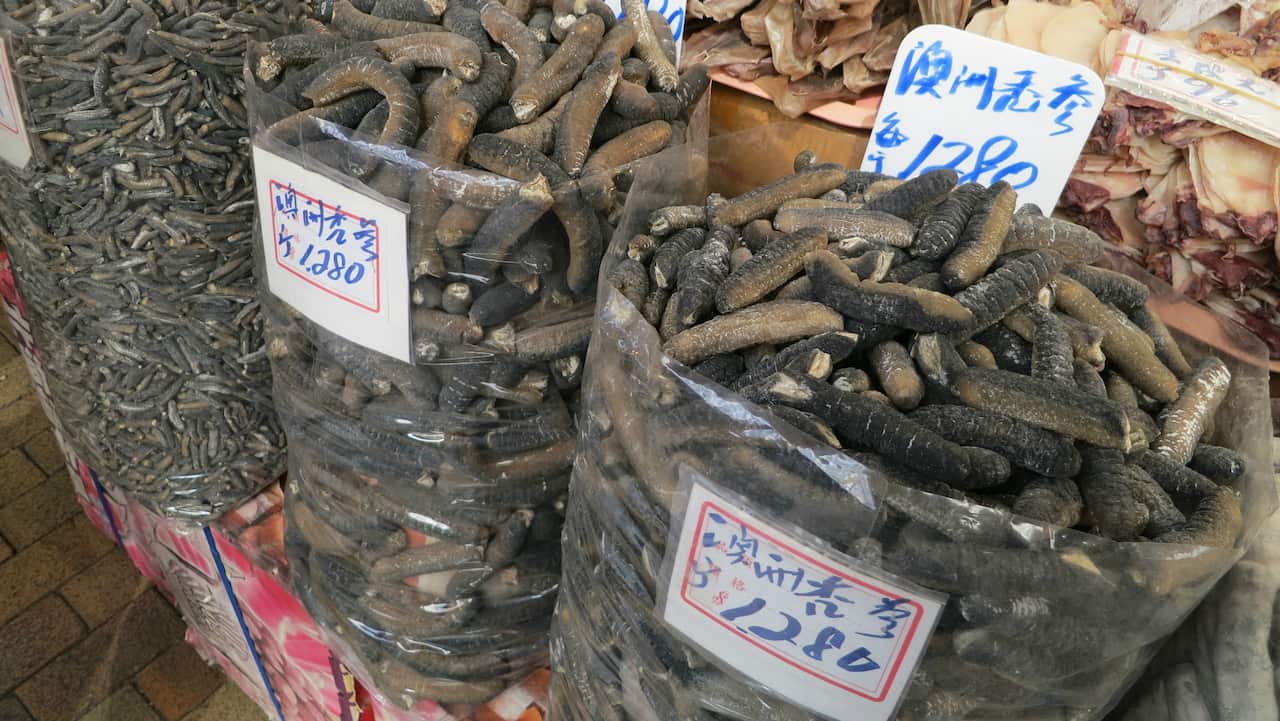 Sea cucumbers sold in Chinese shops.
