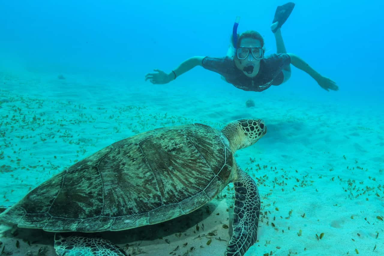 A supplied image obtained on Monday, July 23, 2018, of Australian swimmer Emily McKeon snorkeling on the Great Barrier Reef, off Cairns. 