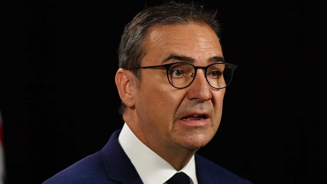 South Australian Premier Steven Marshall speaks to the media at the State Administration centre in Adelaide