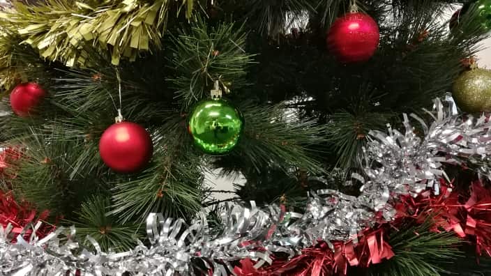 What are the origins of the Christmas tree?