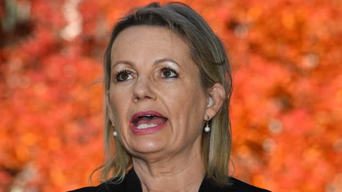 Mbunge wa Farrer Sussan Ley, azungumza na waandishi wa habari kuhusu muswada wake waku simamisha biashara yaku safirisha kondoo ambao wako hai mashariki yakati