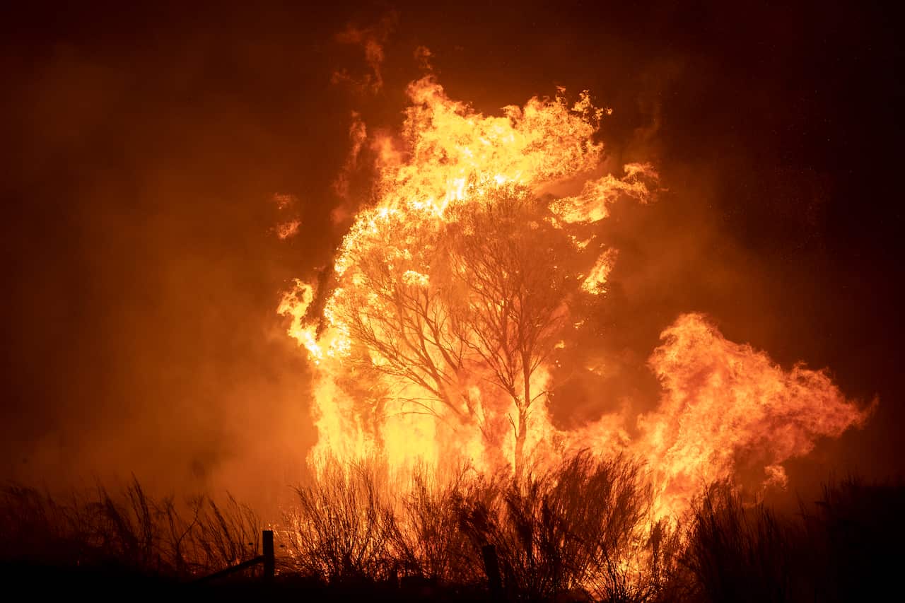 The Clear Range Fire near Bredbo North during last summer's devastating bushfire season. February 01, 2020 