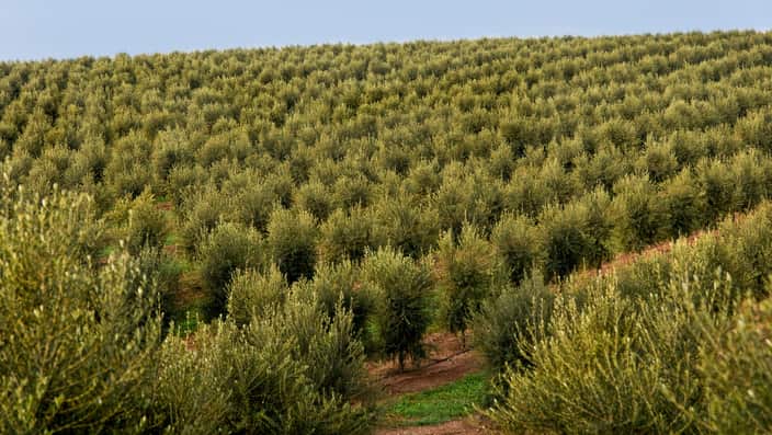 Alentejo, Portugal