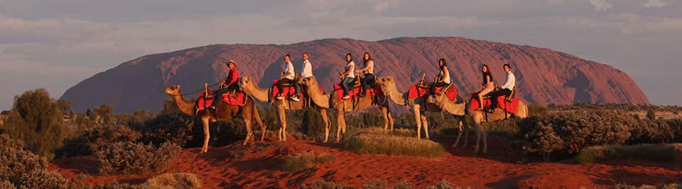 Tourists at Ayers Rock region enjoying a camel ride