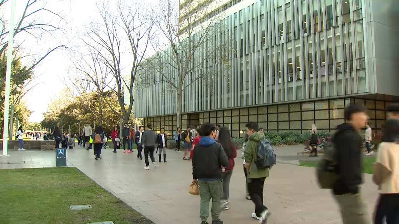 A New South Wales proposal to bring back international students during the second half of 2021 is being called 'a light at the end of the tunnel'