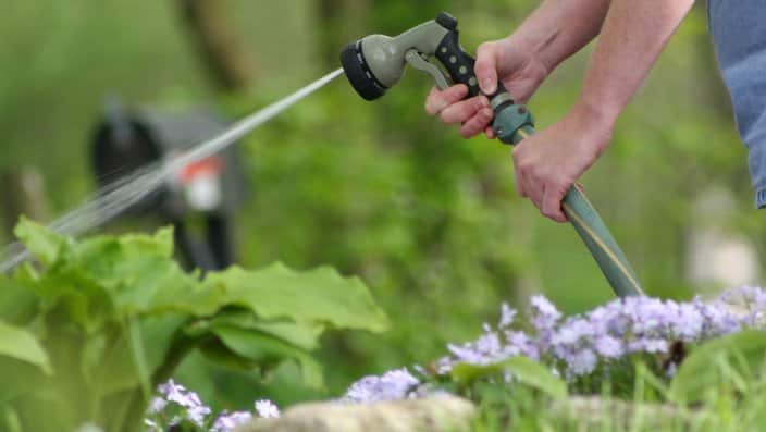 Watering the garden