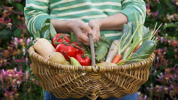 World Vegan Day – Moodboard