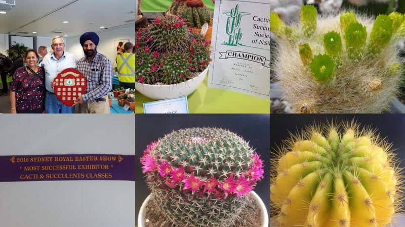 Ranjit Singh and his wife Kulwant kaur with their cacti collection