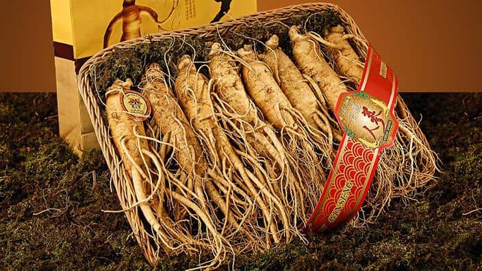 Ginseng