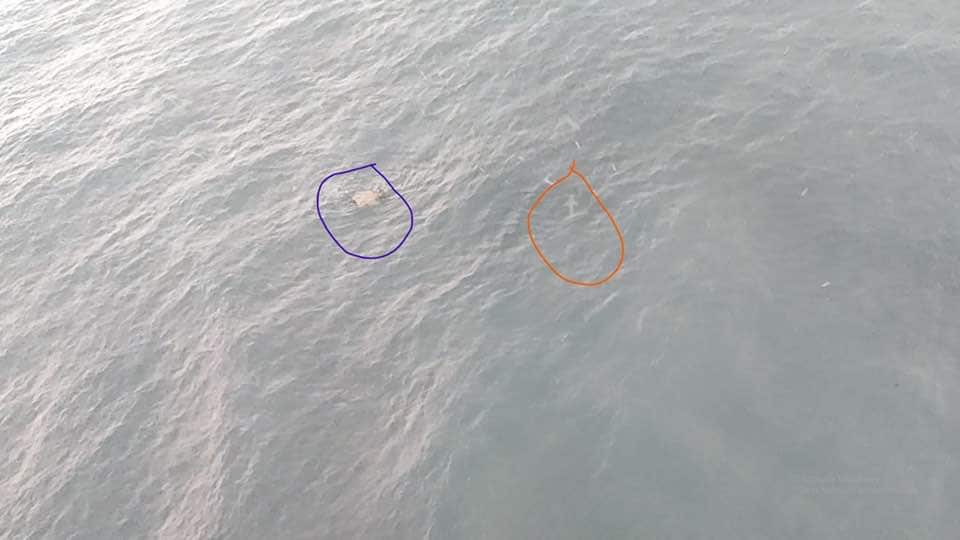 Extremely poor visibility but They spotted something amiss.