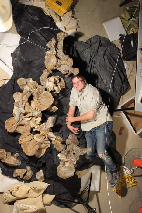 Dr Stephen Poropat with five back vertebrae from Savannasarus elliottorum laid out as they were when encased in concretion. (Photograph courtesy Judy Elliott / © Australian Age of Dinosaurs Museum of Natural History)