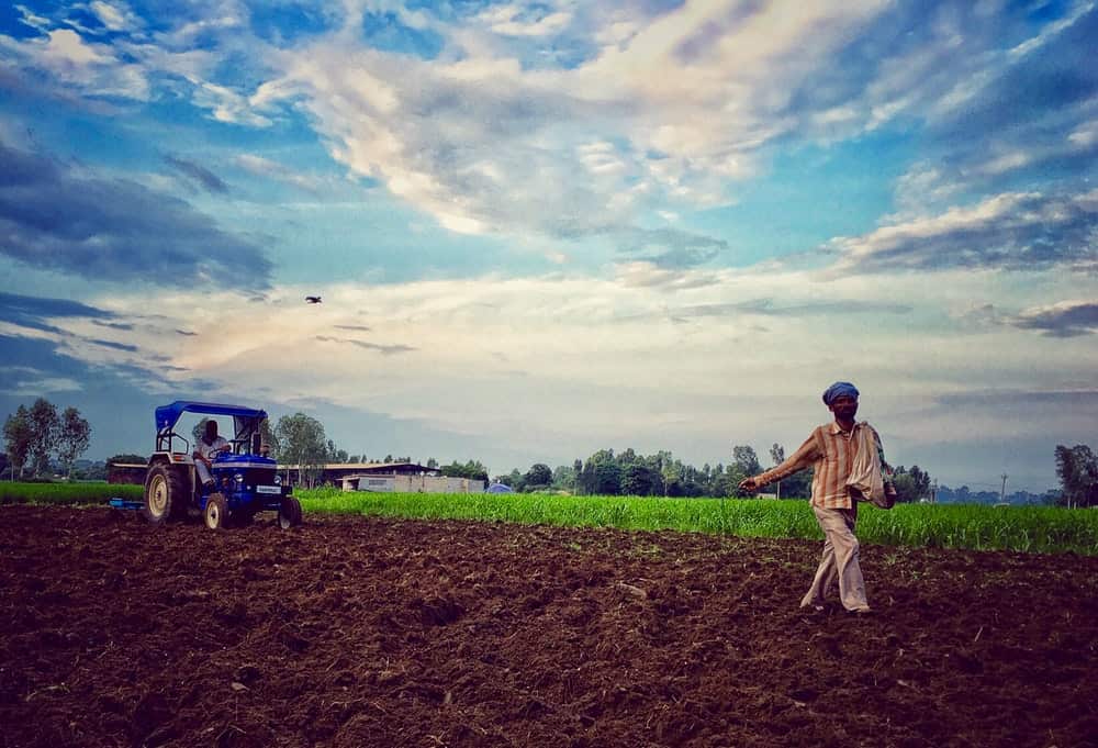 Punjab farms