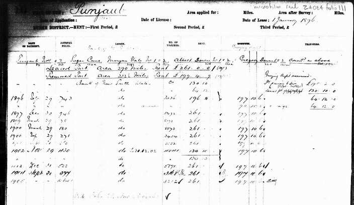 The financials pertaining to the Punjaub property from 1 January 1896, after it was consolidated 