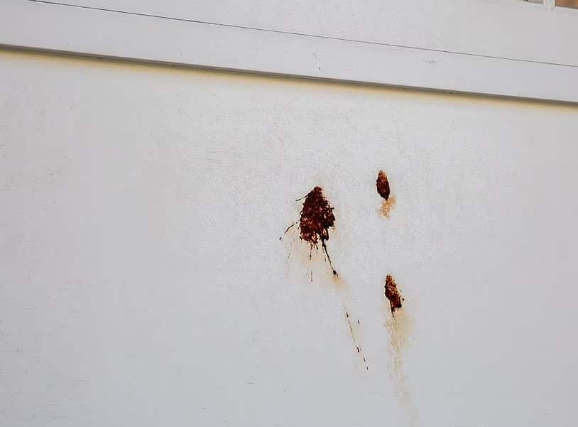 The garage door appears to have had fruit or some other substance thrown.