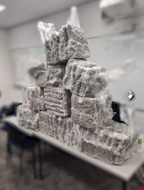 Queensland Police Service 