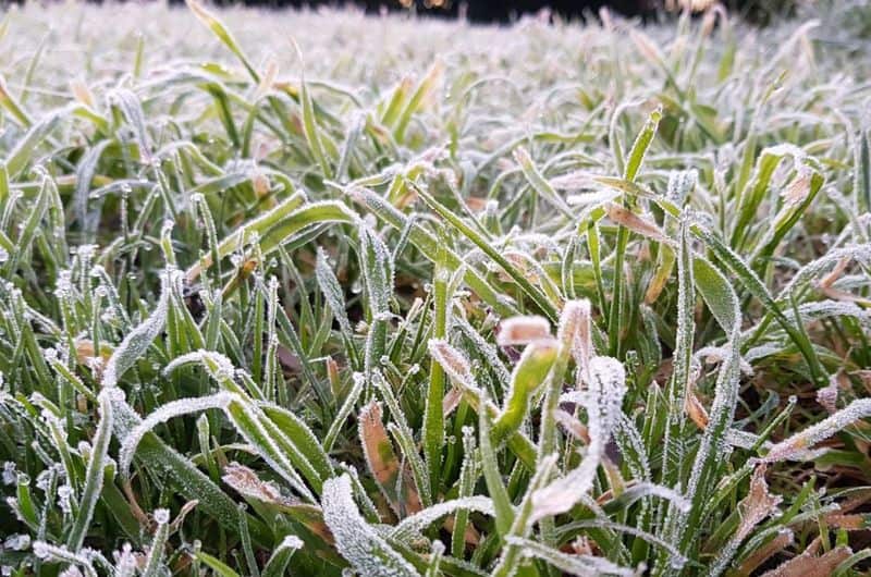 It was a frosty start to winter