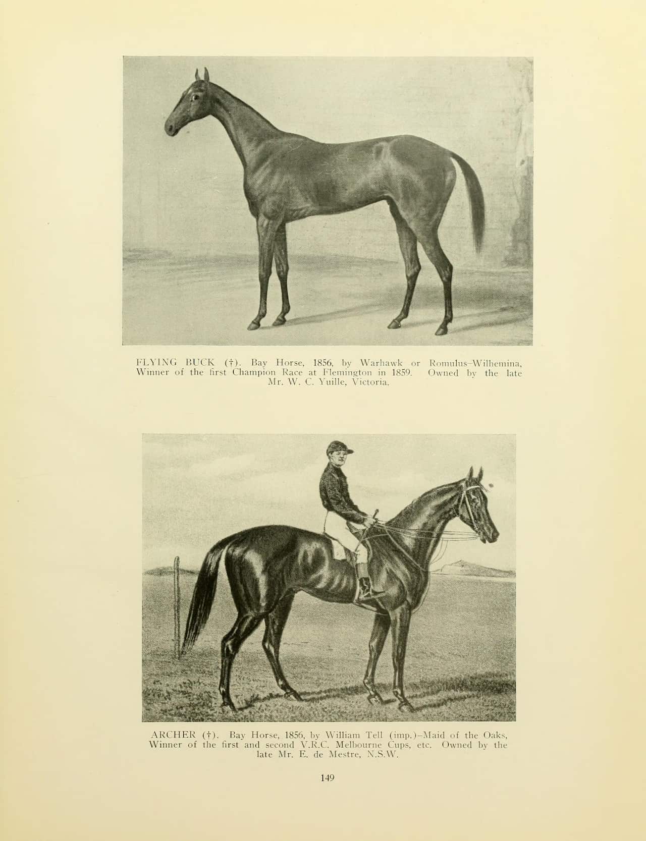 Horse archer in a poster 