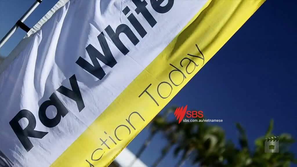 Những người cố ý phá hoại tính công bằng của buổi đấu giá sẽ bị phạt nặng.