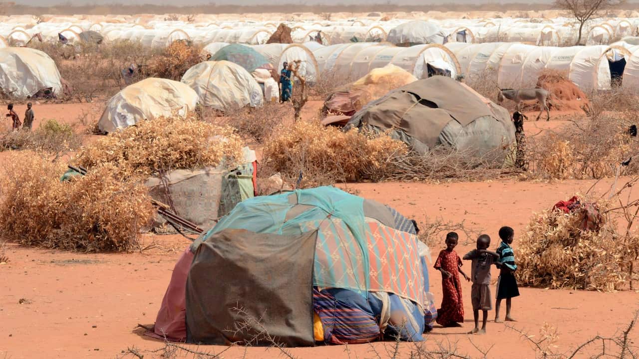 Refugee camp 