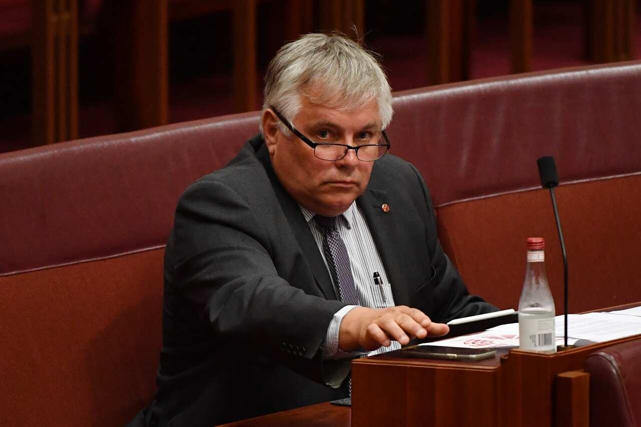 Senator Rex Patrick during Question Time in the Senate Chamber at Parliament House in Canberra