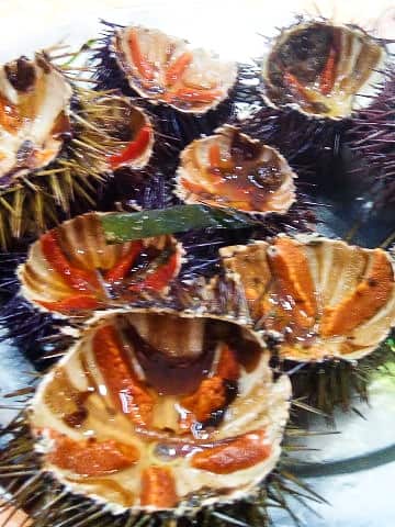 Ricci di mare aperti in Sicilia. 