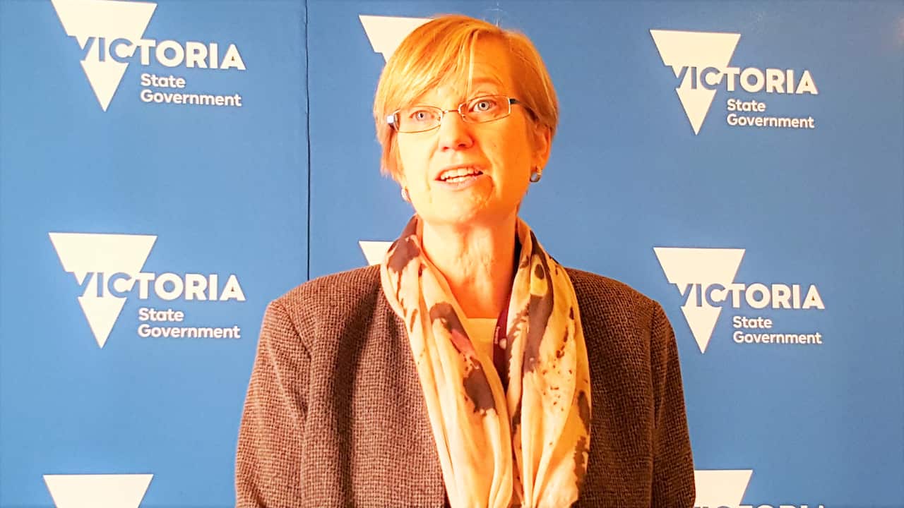 Royal Commission, family violence, Victoria, Australia, Fiona Richardson, police, victims