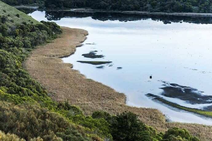 River Murray Reserve