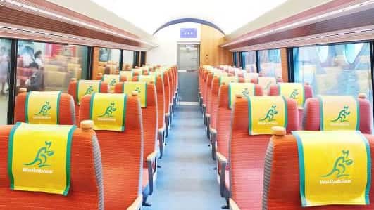 Odakyu Rugby Wallabies World Cup