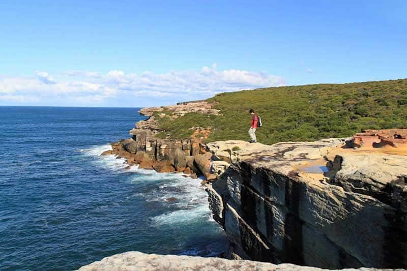 Royal National Park cliffwalk