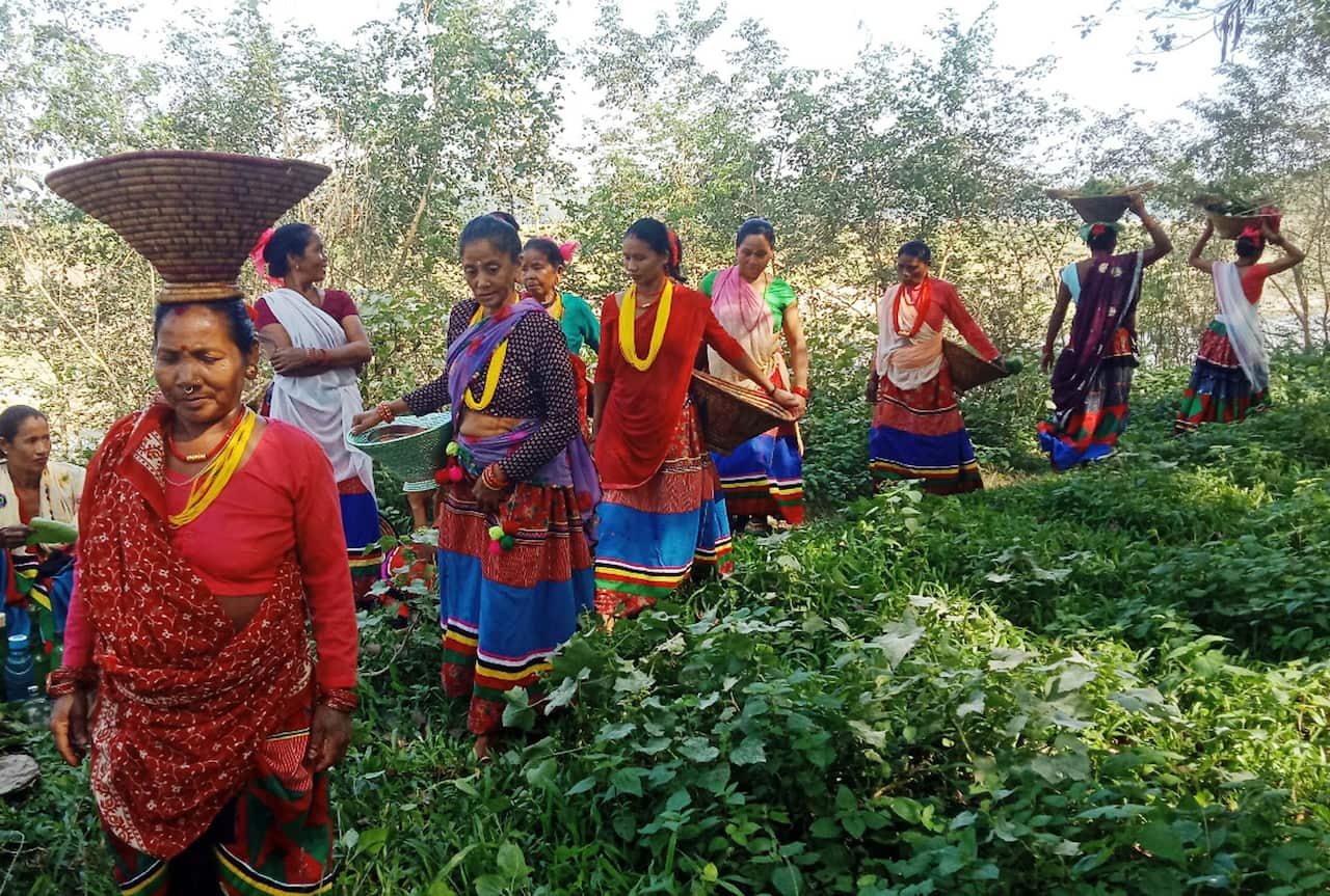 Women on their way to 2020 Dashain celebration in Kanchanpur, Nepal.