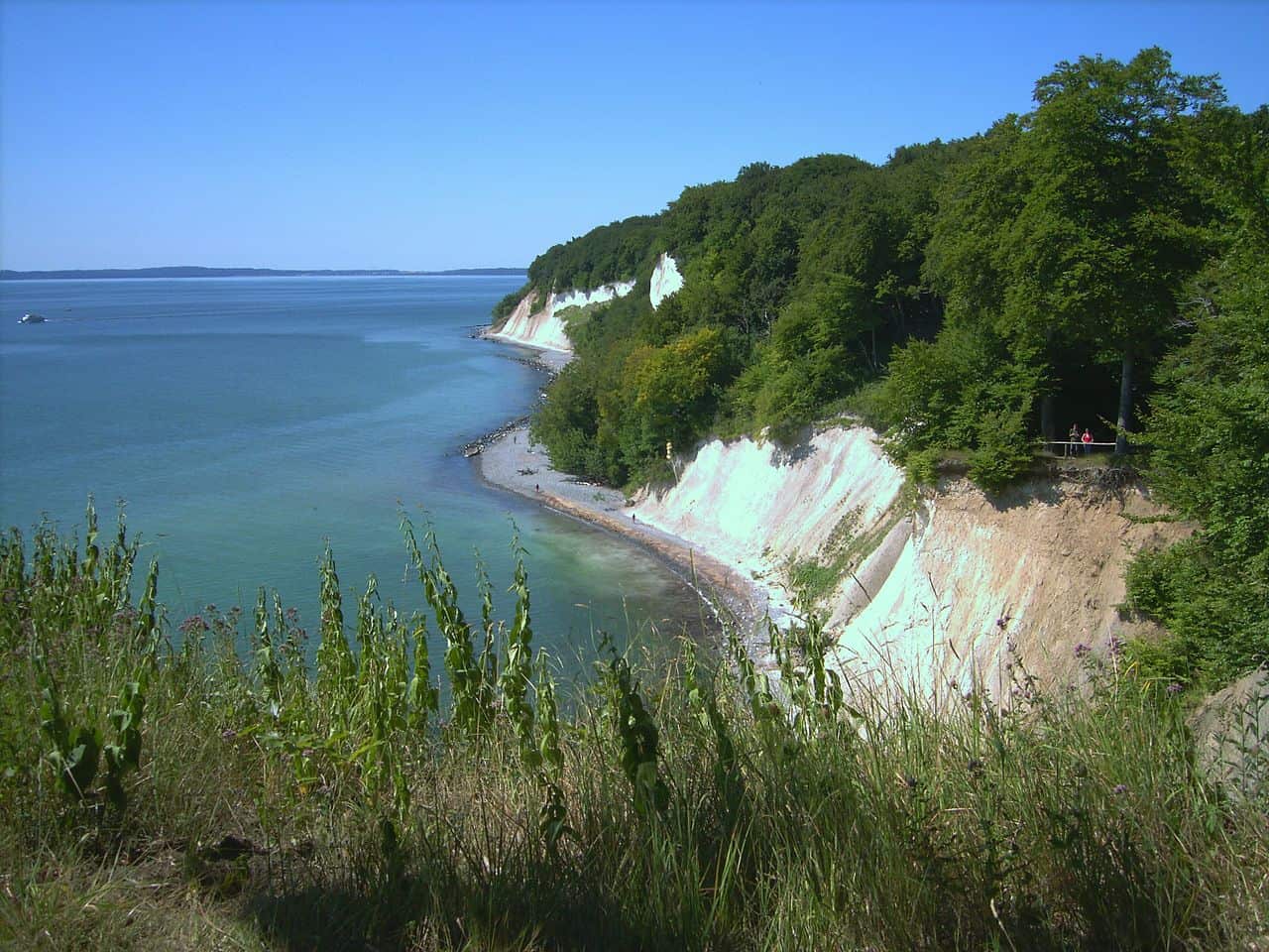 Kreidefelden auf Rügen