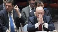 Russian Ambassador to the UN Vassily Nebenzia tried to have the body condemn the Syria strikes