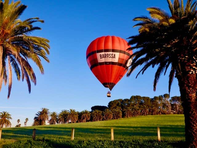 Hot air balloon in Barossa Valley