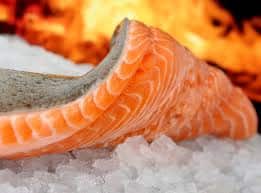 White Meat Salmon Fillet