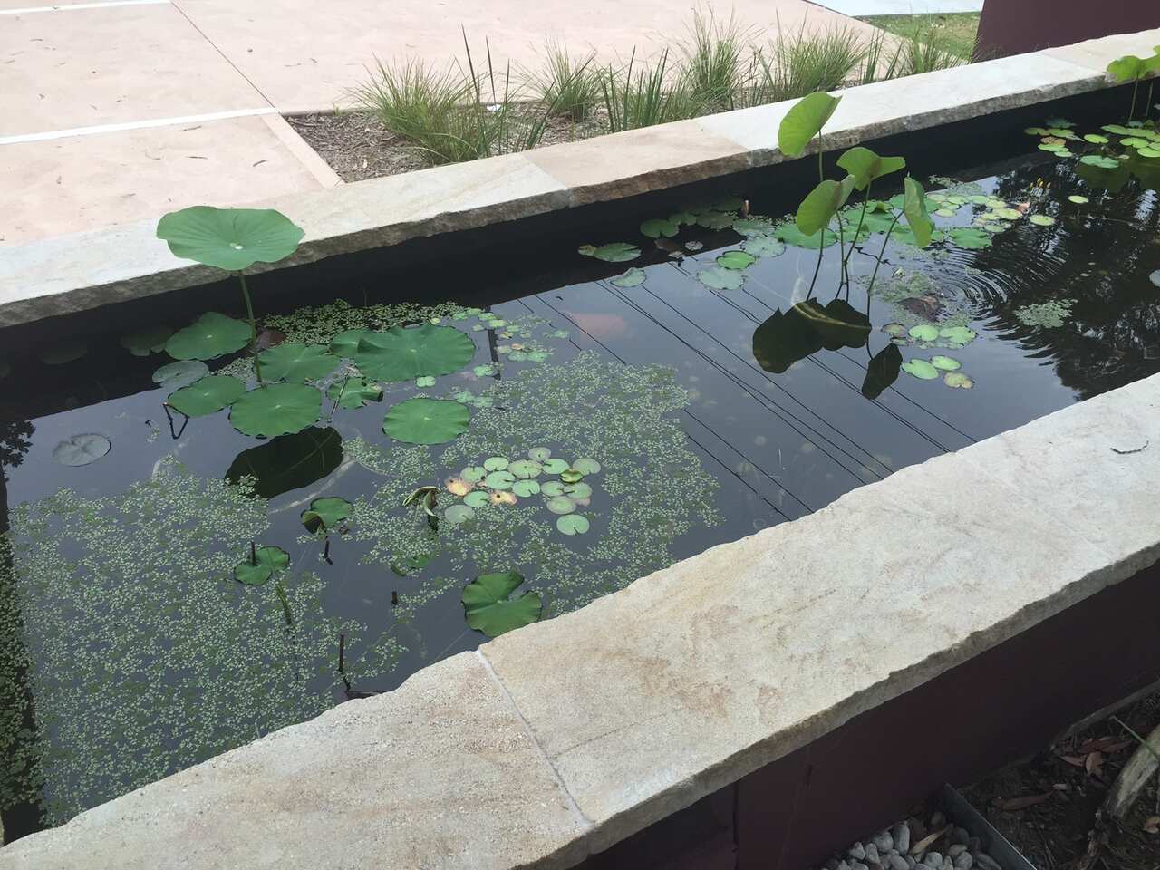 Water feature