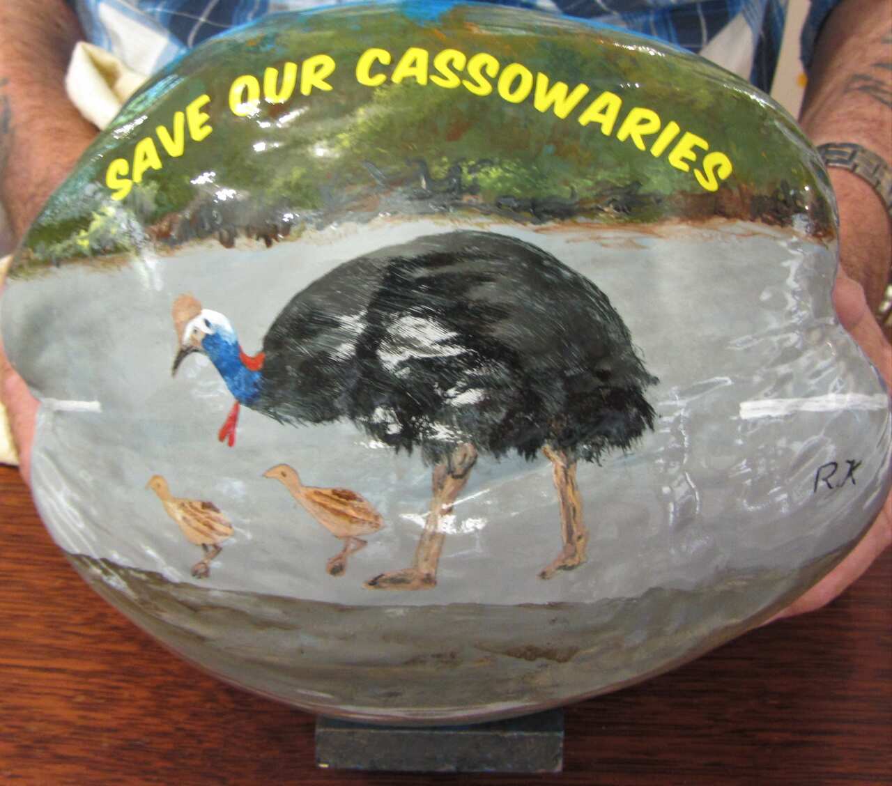 Save the cassowary on a coconut