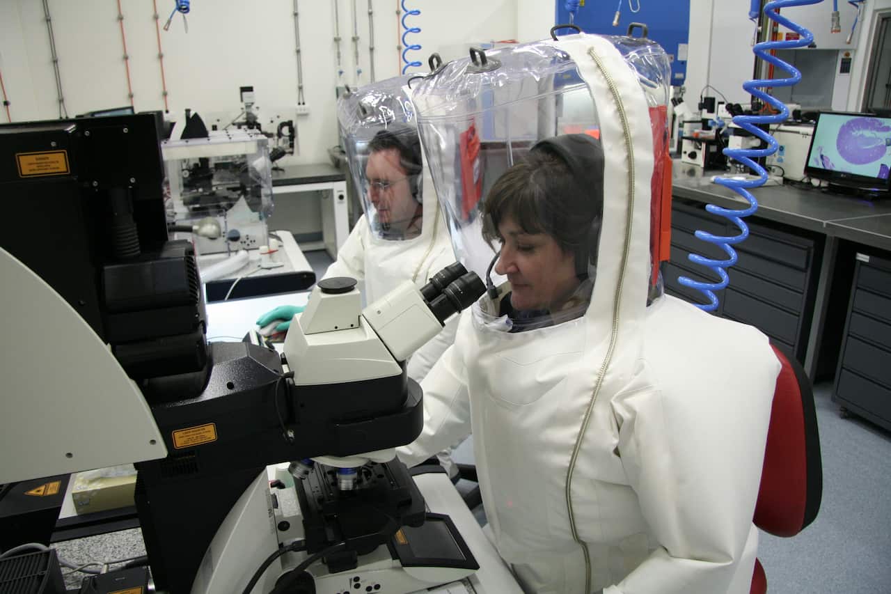 Scientists working in the secure area at CSIRO's Australian Animal Health Laboratory (AAHL)