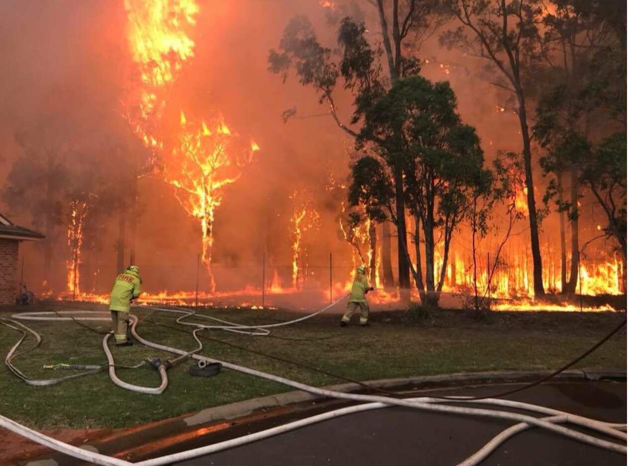Sydney bushfire
