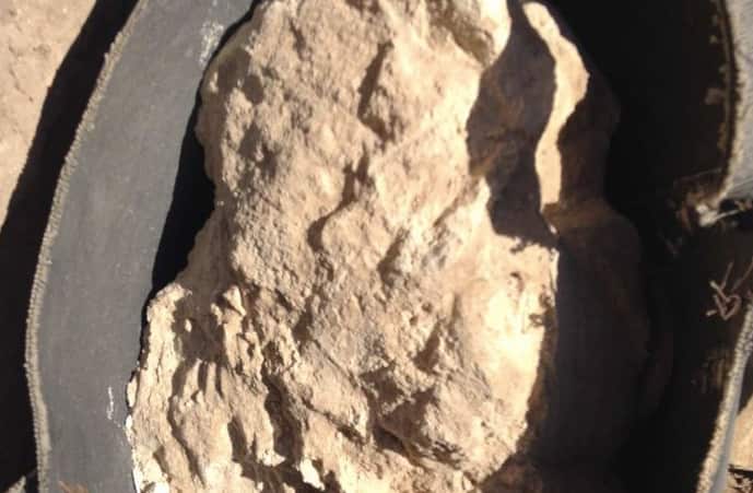 Cheese from Ancient Egypt