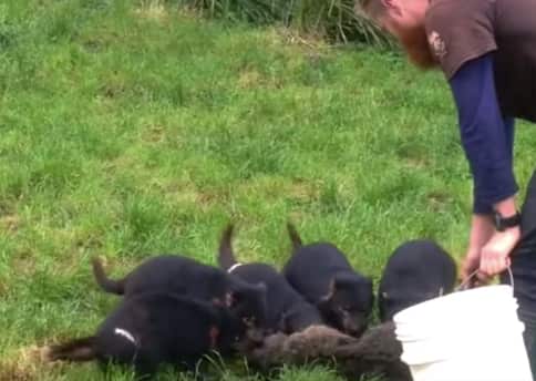 Pozible, University of Adelaïde