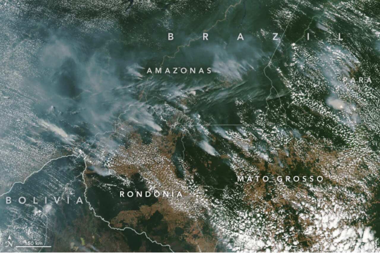 Questa immagine dell'Earth Observatory della NASA del 13 agosto mostra una miriade di incendi. 