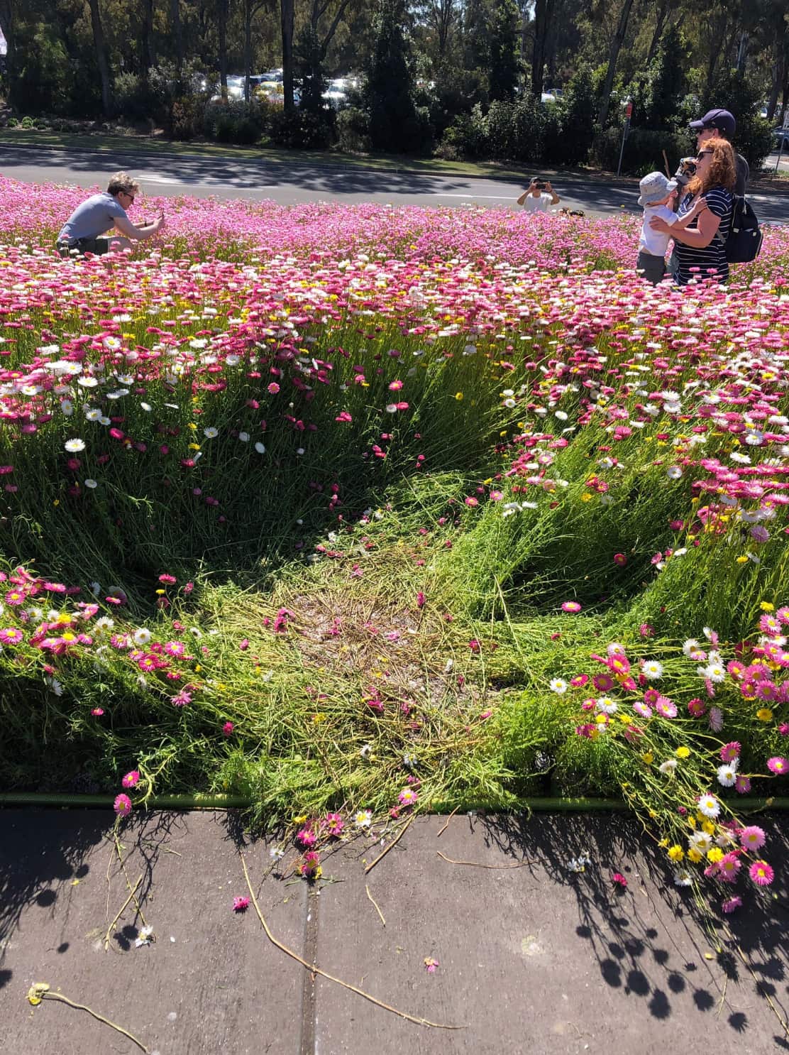 Australian Botanic Garden