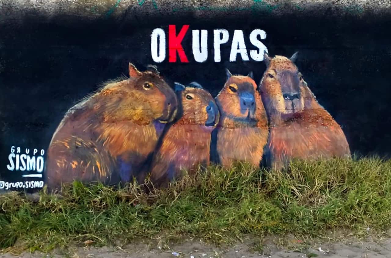 Latin American street artist crew 'Grupo Simo' have painted a mural depicting the capybaras as 'Occupy' activists.